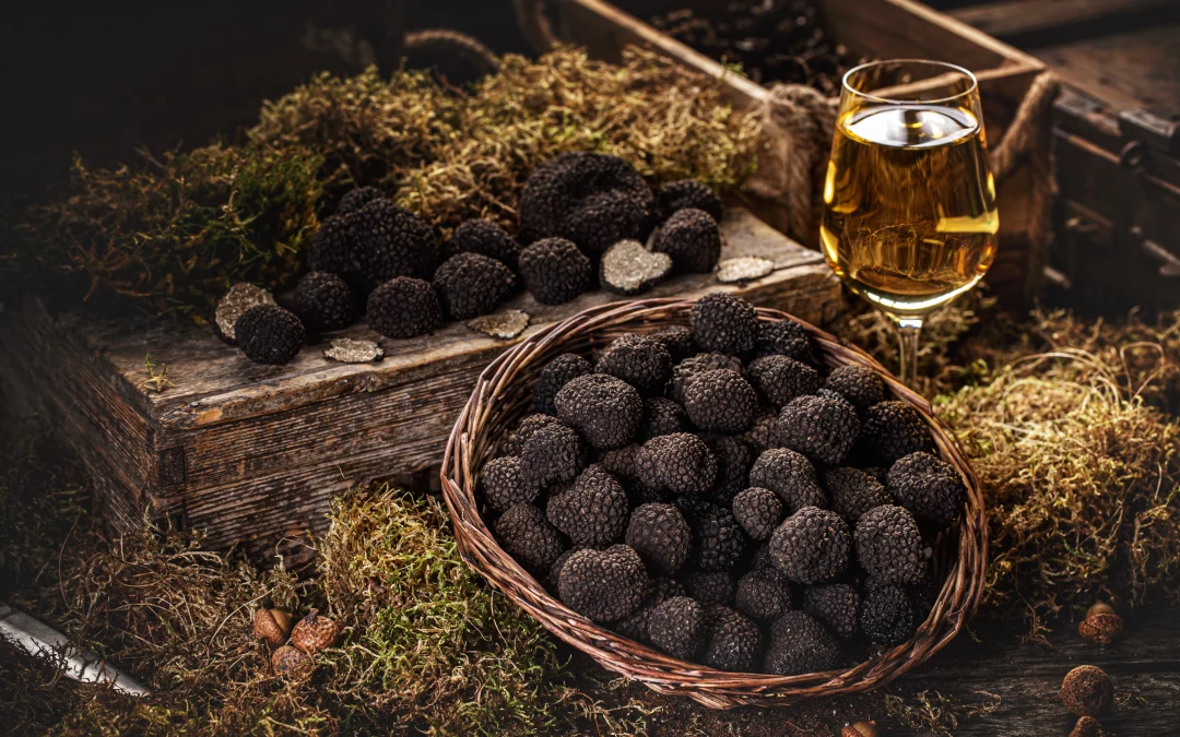 Truffe noire en Provence : où et quand participer aux marchés aux truffes ?